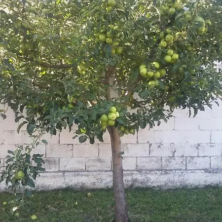 아파트 Quattro - Cir 0008 *