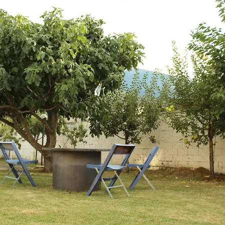 Quattro - Cir 0008 奥斯塔