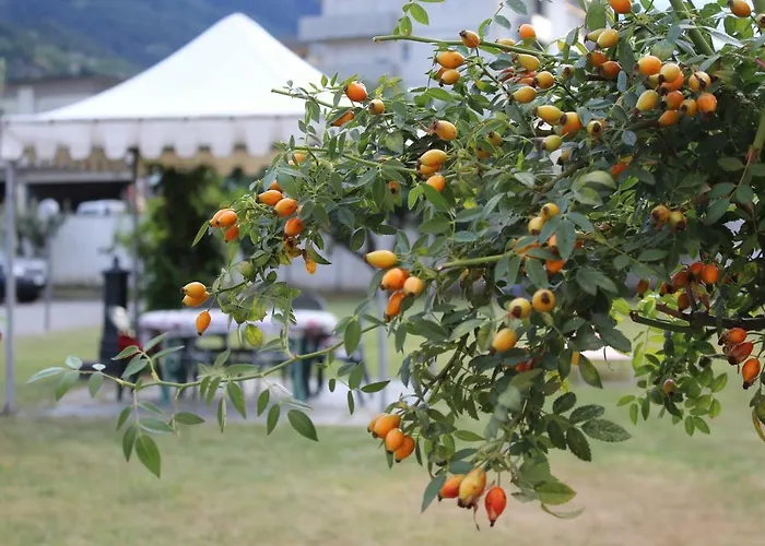 Lägenhet Quattro - Cir 0008 Aosta