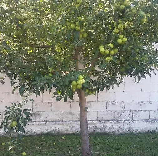 아파트 Quattro - Cir 0008 *